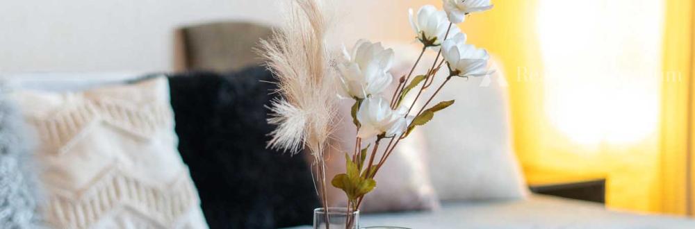 Najrýchlejšia dostupnosť do centra či Auparku?