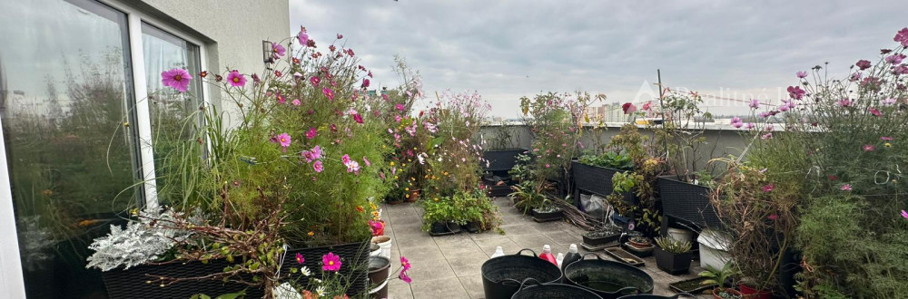 DVE TERASY, ZIMNÁ ZÁHRADA A VÝHĽAD NA CELÉ PODUNAJSKÉ BISKUPICE.